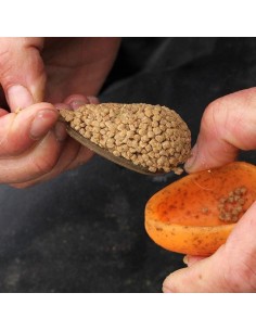 MOLDE METHOD CARP 2 2