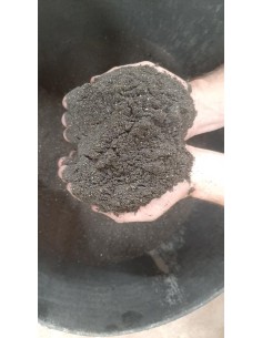 SUPERBAITS CARPA CARASSIO NEGRO 1KG 2