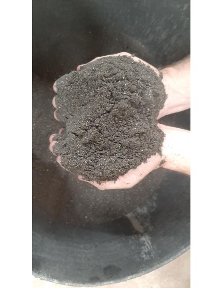 SUPERBAITS CARPA CARASSIO NEGRO 1KG