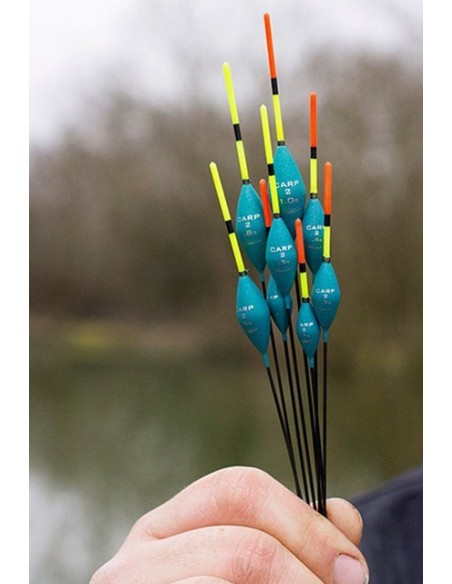 DRENNAN CARP 2