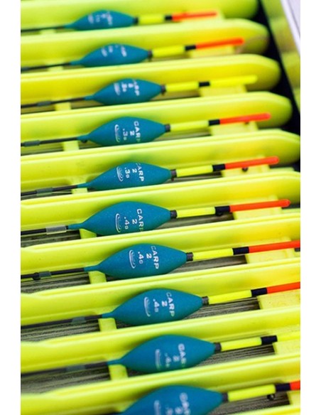DRENNAN CARP 2