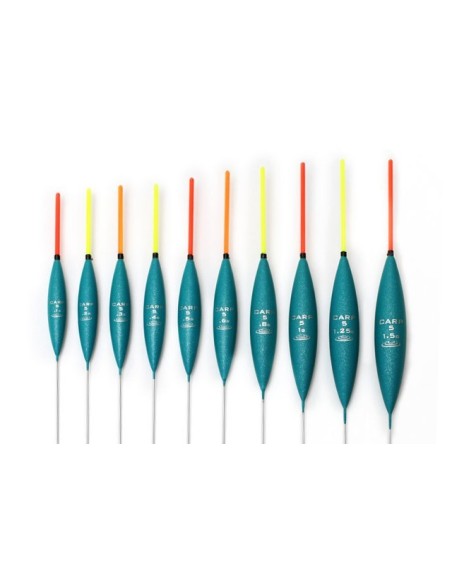 DRENNAN CARP 5