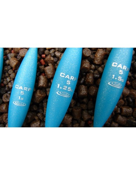 DRENNAN CARP 5