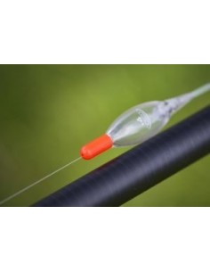 CRYSTAL SHALLOW DRENNAN 2