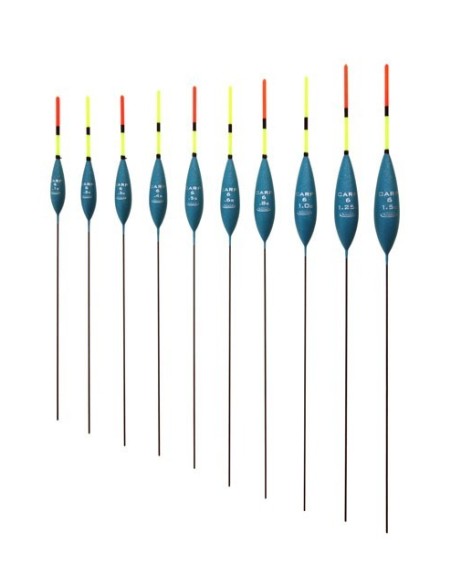 DRENNAN CARP 6
