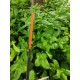 ANTENA HUECA 3.5 x 80 MM