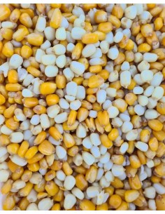 CORN MIX BLANCO/AMARILLO PARTICLES