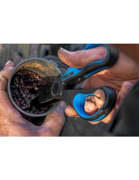 WORM SCISSORS PRESTON