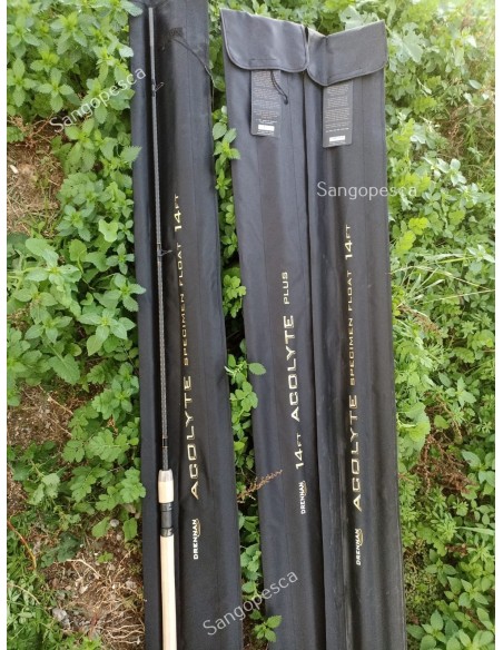 CAÑA INGLESA DRENNAN ACOLYTE SPECIMEN 14"