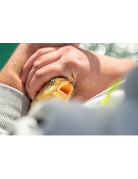 MATRIX SUPER SOFT BAIT BANDS