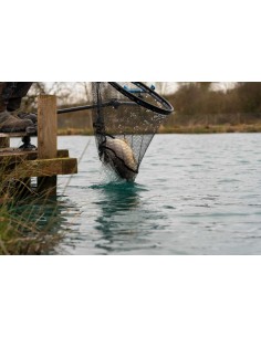 CARP XS LANDING NETS  2