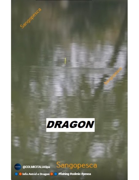 FLOTADOR DRAGON COLMIC