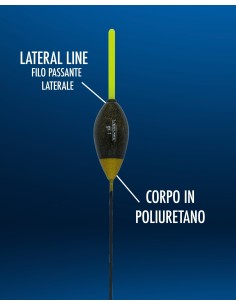 MUGGINE STARLITE COLMIC 2