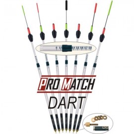 PRO MATCH WITH DART CRALUSSO