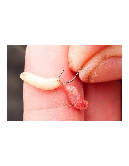 F1 MAGGOT HOOK GURU